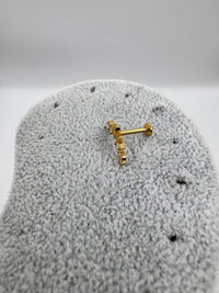 Piercing Silvia
